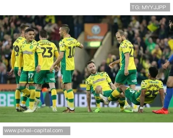 诺维奇主场迎战米尔沃尔双方争夺关键三分之战